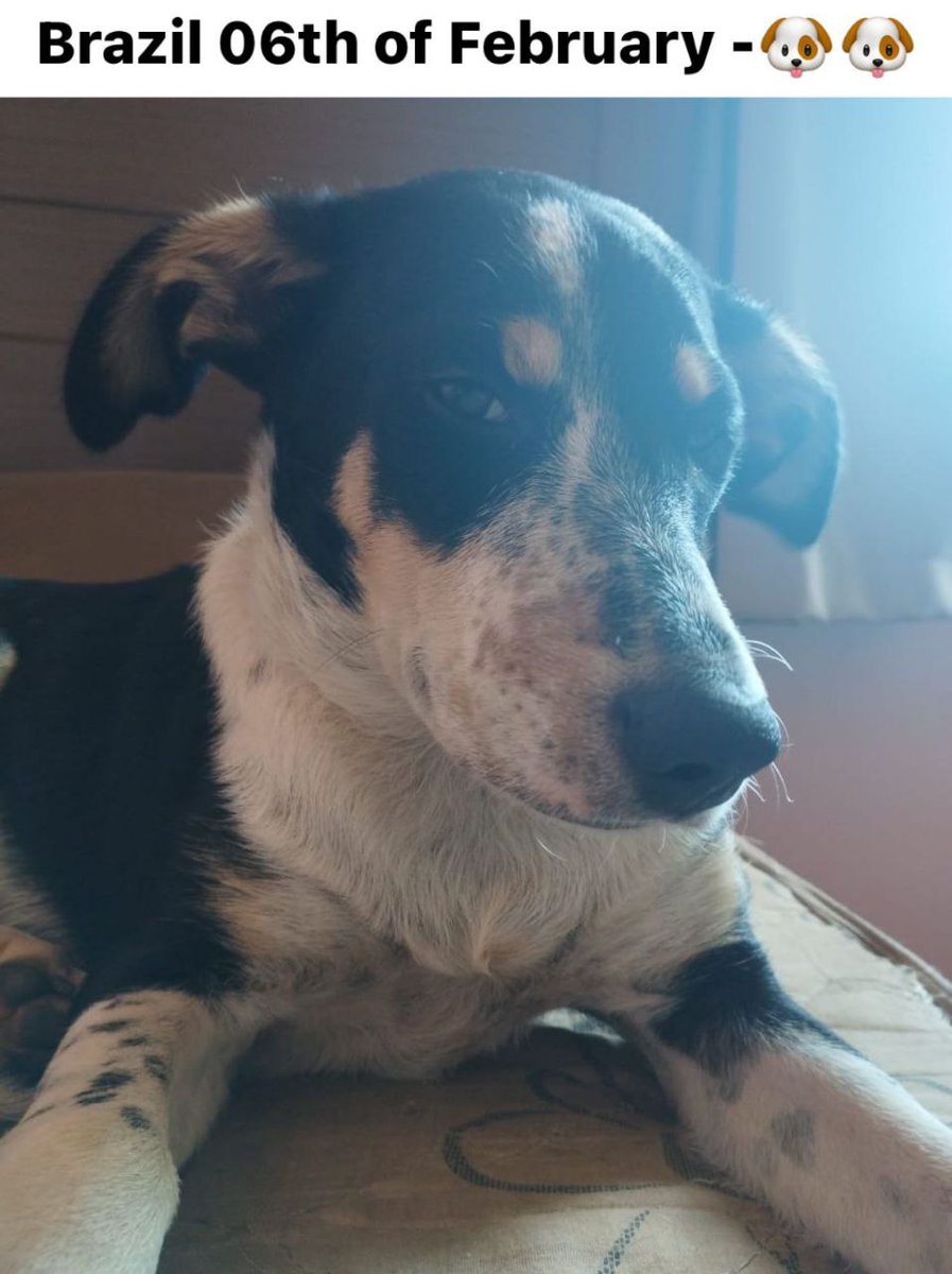 CryptoAnimado's tweet photo. look how worried I am about correction!
@babydoge
#BabyDogeSwap 

0xc748673057861a797275cd8a068abb95a902e8de https://t.co/adAwJFoOtT