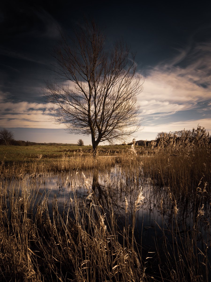 Different
In amongst all the water and reeds was this lone tree on the waters edge. Love finding new places to explore. #wexmondays #sharemondays2023 #fsprintmonday #ThePhotoHour #liveforthestory #appicoftheweek  @OPOTY @CanonUKandIE @Benro_UK