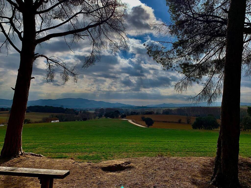 El mateix paisatge. Sensacions diferents.
 
#gallecs #boscdecanveire #natura_love #natura_catalunya #catalunya_alnatural  #catalunya_natura #loves_catalunya #raconsde_catalunya #elmeupetit_pais #raconsdecatalunya #lamevacatalunya #catalunyamagrada #Ok_Ca… instagr.am/p/CoVObV-Iyy4/