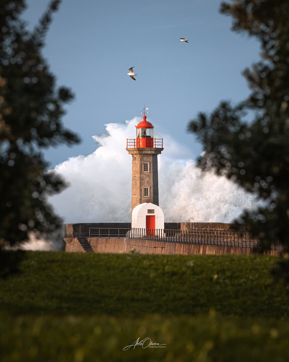 Felgueiras lighthouse 

#photography #photooftheday #PHOTOS #photographer #pics #picoftheday #lighthouse #WAVES #NFT #NFTs #nftphotography #NFTphotographer #nftphoto #FOTOS #fotografía #fotografie