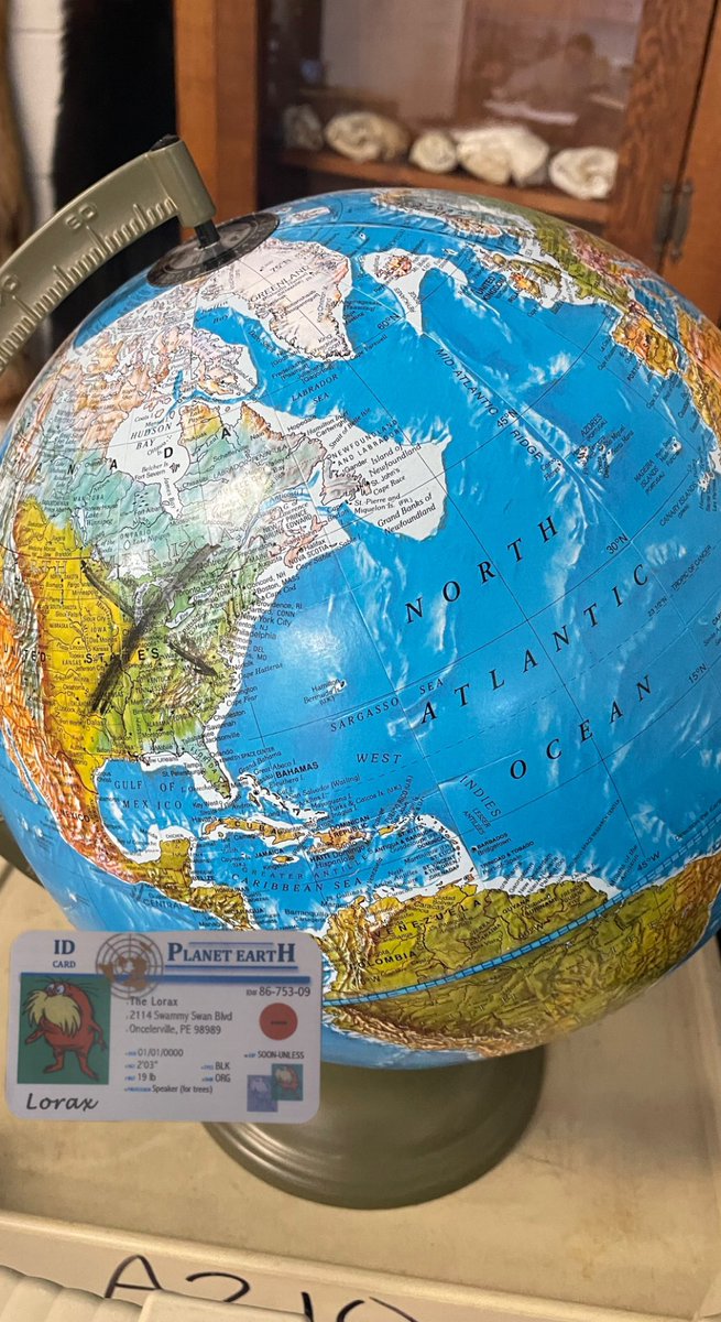 zoey_apes's tweet photo. There are about 8 billion people on the earth. The black x is the United States. The US is known for having large energy consumption and resource use. If everyone on Earth lived like the average American, we would need 4 Earth’s worth of resources! @franklinlorax #apespop https://t.co/LxkWgfwaAn