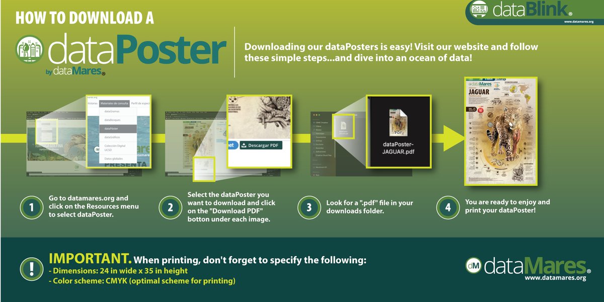 dataMares's tweet image. 💻 Did you know that all #dataPosters and #dataGraphics are free?

🖨 Choose your favorite, download and print following these simple instructions.