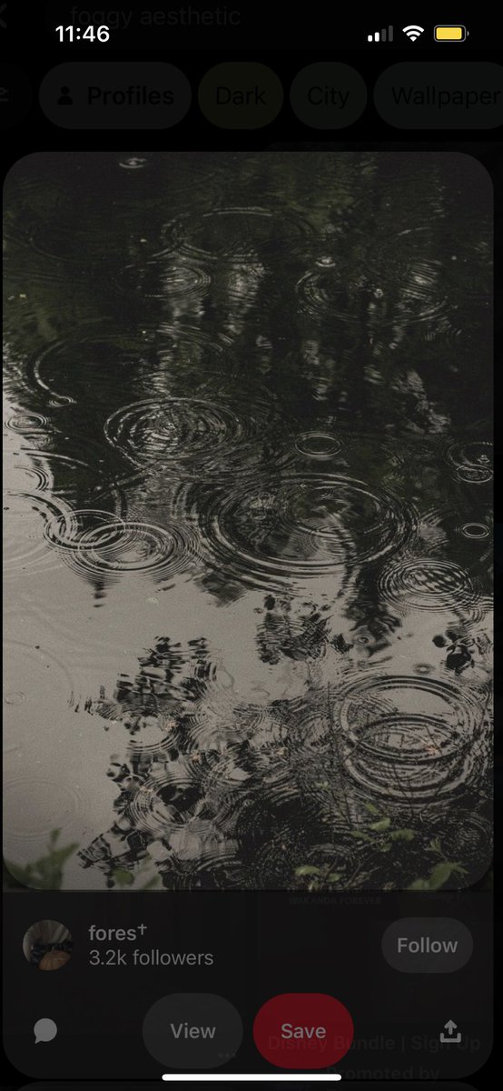 leafofthevoid's tweet image. “I’m not the only dreamer here”

A steddie fic where Eddie comes back to Steve from the upside down, but something is wrong. It doesn’t stop Steve from caring for him. 

//E, 1/?, 6.4k words 

archiveofourown.org/works/44836714…