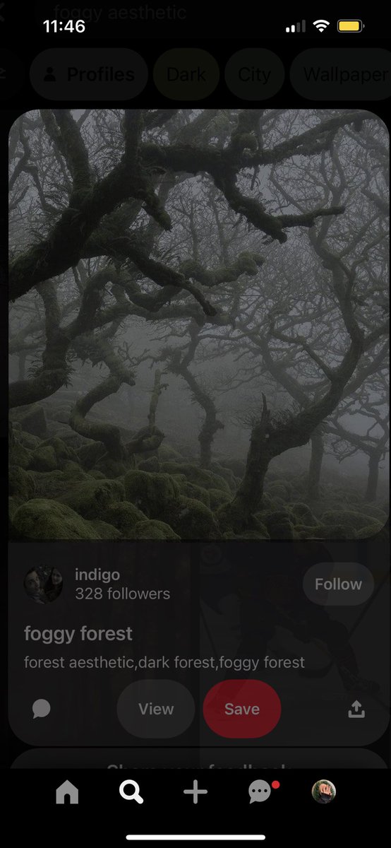 leafofthevoid's tweet image. “I’m not the only dreamer here”

A steddie fic where Eddie comes back to Steve from the upside down, but something is wrong. It doesn’t stop Steve from caring for him. 

//E, 1/?, 6.4k words 

archiveofourown.org/works/44836714…