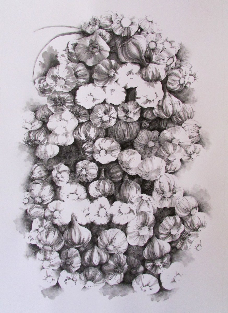 F.Pishvaee tweet media