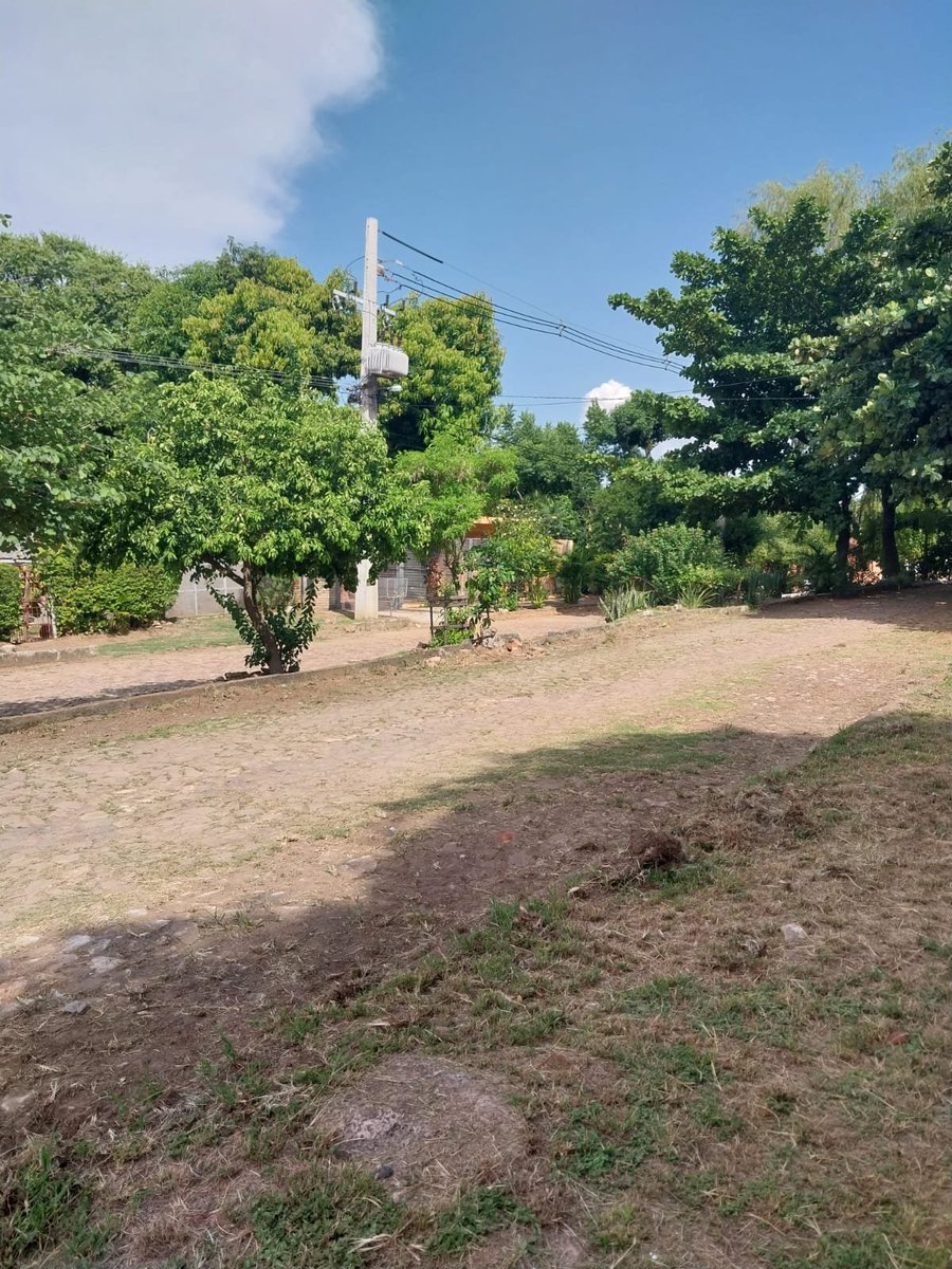 JesusLaraPy's tweet image. 📍Empezamos la semana con una jornada de limpieza en la calle San Ramón de Zeballos Cue.

🚧 ¡Los trabajos continúan!

#JesúsLaraConcejal
#ZeballosCueAvanza