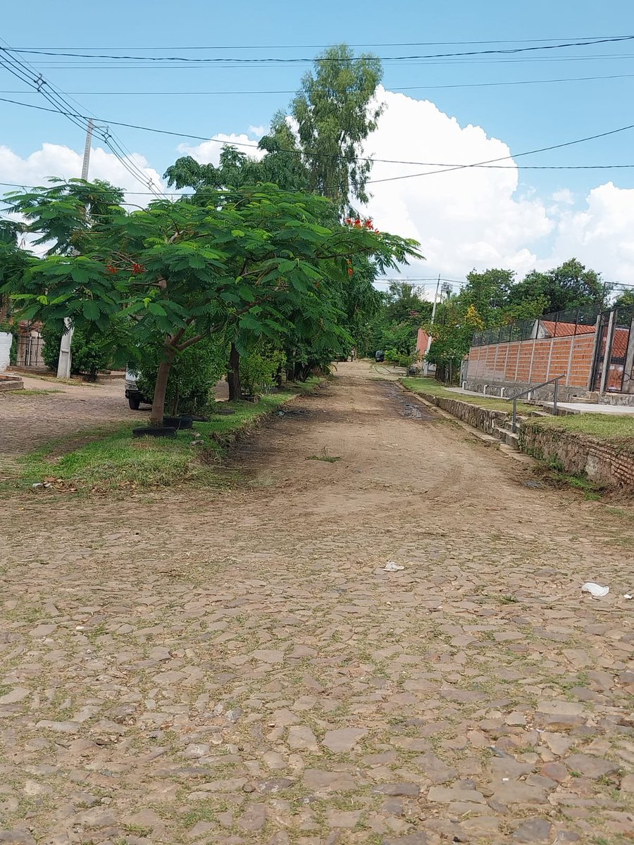 JesusLaraPy's tweet image. 📍Empezamos la semana con una jornada de limpieza en la calle San Ramón de Zeballos Cue.

🚧 ¡Los trabajos continúan!

#JesúsLaraConcejal
#ZeballosCueAvanza