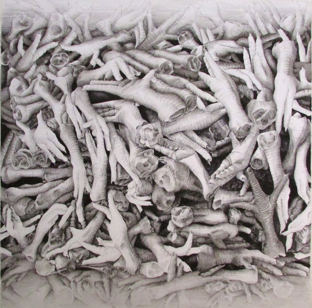 F.Pishvaee tweet media