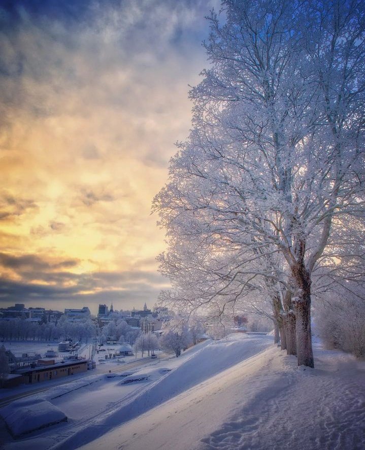 Finland 🇫🇮❄️