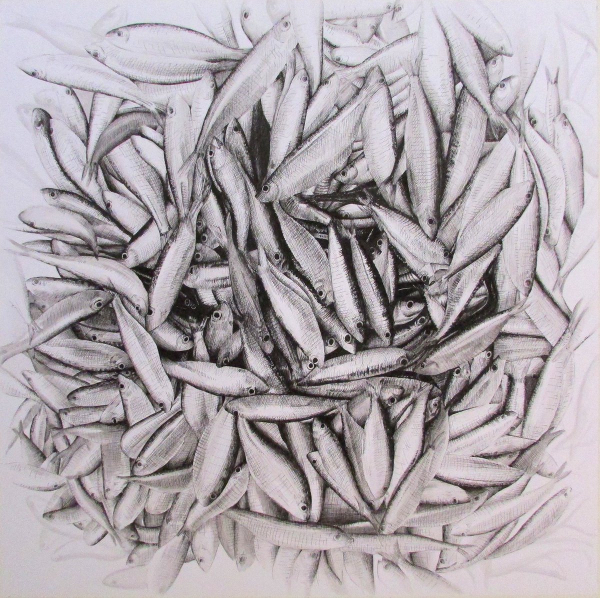 F.Pishvaee tweet media