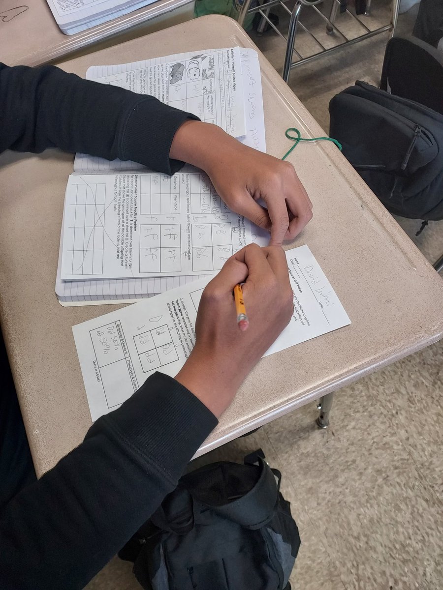 AliceBucknerSci's tweet photo. What are the odds offspring will have a trait? Ss @ArbutusMS used Punnett squares today to make their predictions. @BCPSSci https://t.co/5FmpthOJ4N