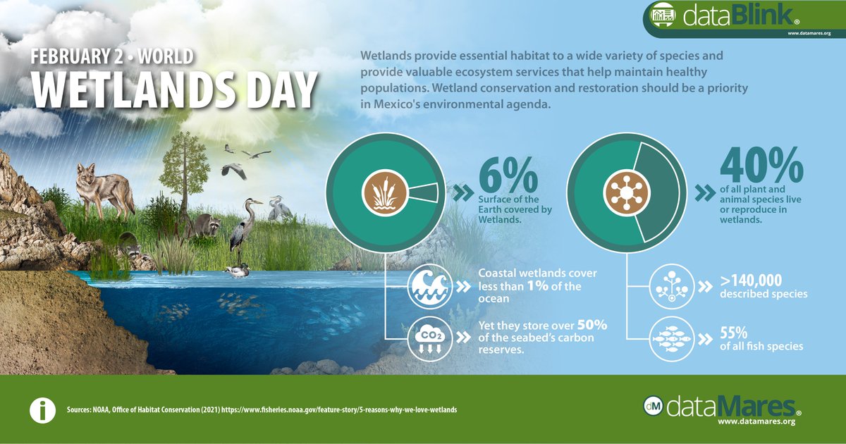 dataMares's tweet image. 🌎 Have you seen our latest #dataGraphic? Thank you @EcoAlianzaLTO and @Scripps_Ocean for helping us to celebrate #wetlands!

datamares.org/preview/dg_wet…
#ForWetlands