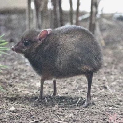 alynnn_h's tweet photo. #NewProfilePic https://t.co/BOW3XAZs9x