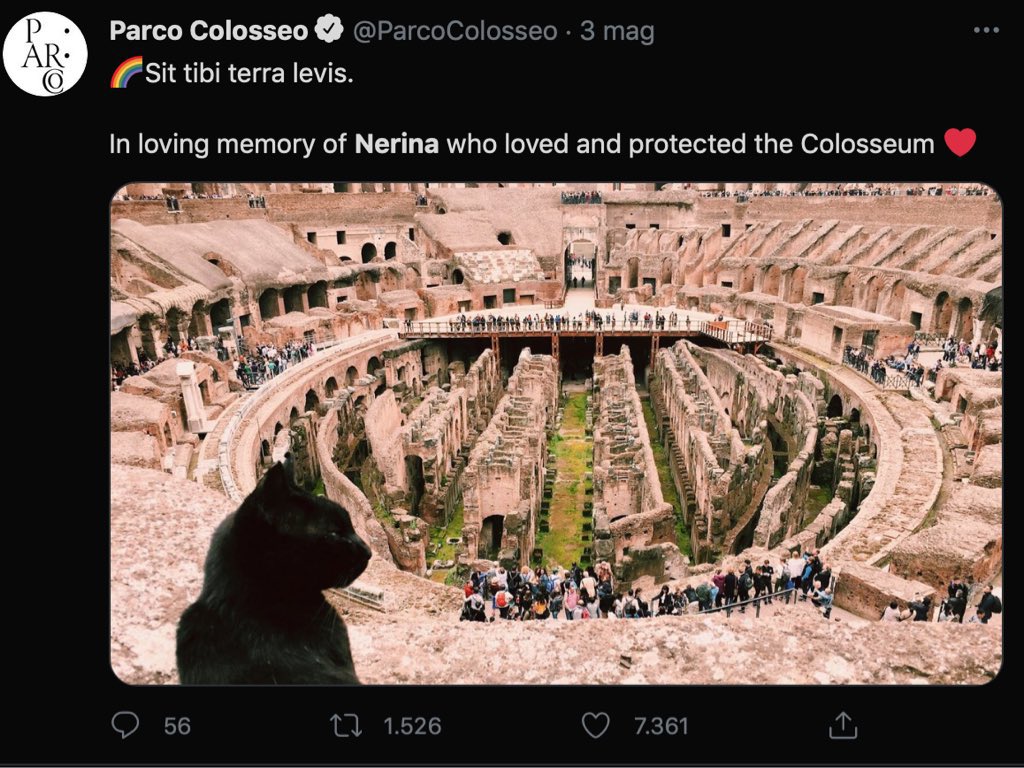 @museumhour A1 Obituary author for beloved cat @ParcoColosseo 

#MuseumHour