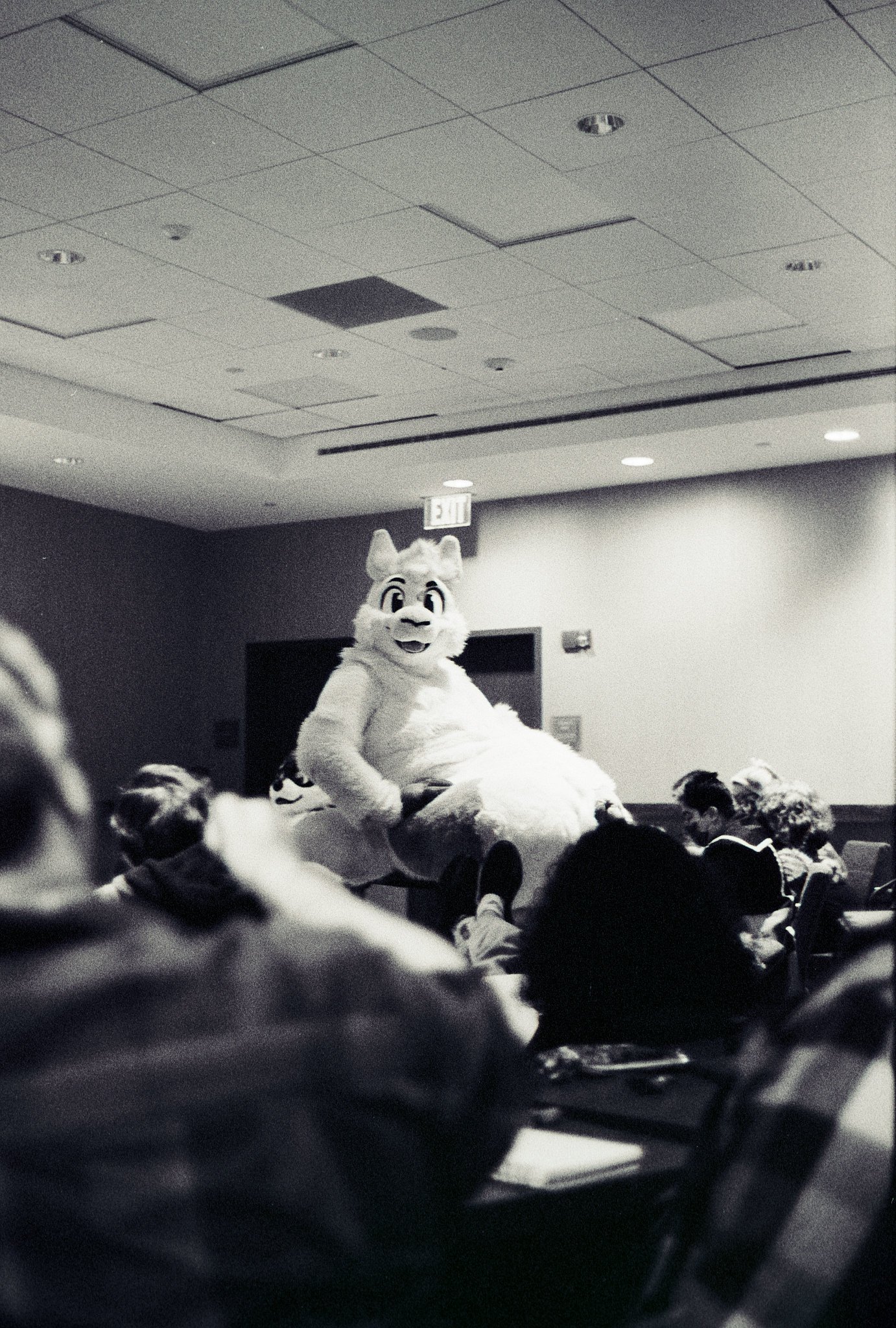 Darkroom denizen on Twitter "More film scans from ANE2023 https//t
