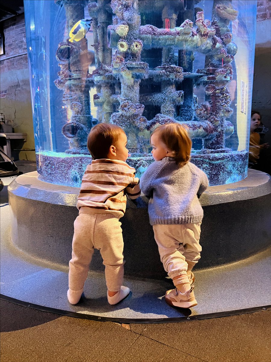 Check out Harry and Lloyd puttin out the vibe in the last photo.