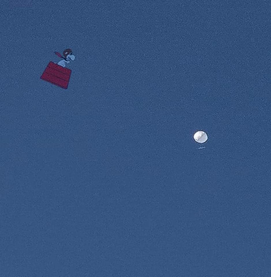 Laine_RockerMom's tweet image. The Red Barron&apos;s Got This! #HoldMyBeer #redbarron #SpyBalloonDown