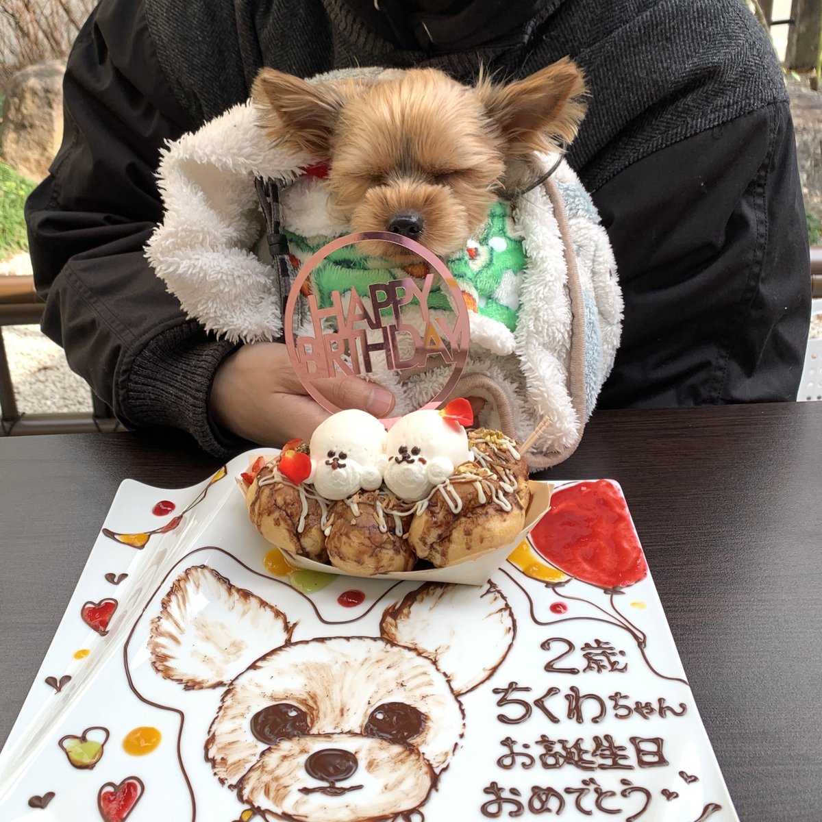 mitsusy2's tweet photo. 2歳になったワンよぉ〜🐶💓
#ヨークシャーテリア
#犬好きな人と繋がりたい
#ヨーキー https://t.co/8y8oP59LOi