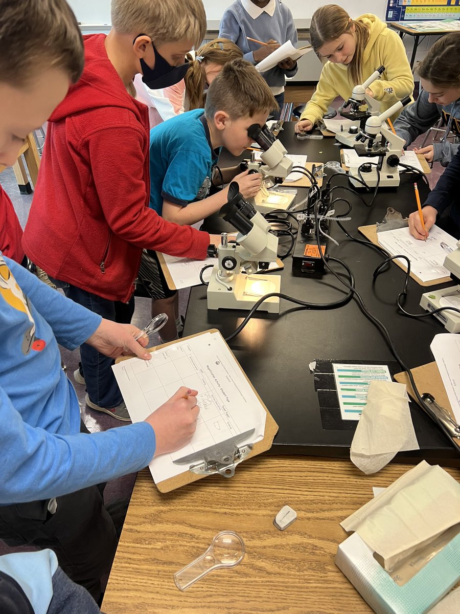 5thDes's tweet photo. Great observations start with a microscope! We learn to notice all the details to ask awesome questions. https://t.co/ZPbuLUm9I3