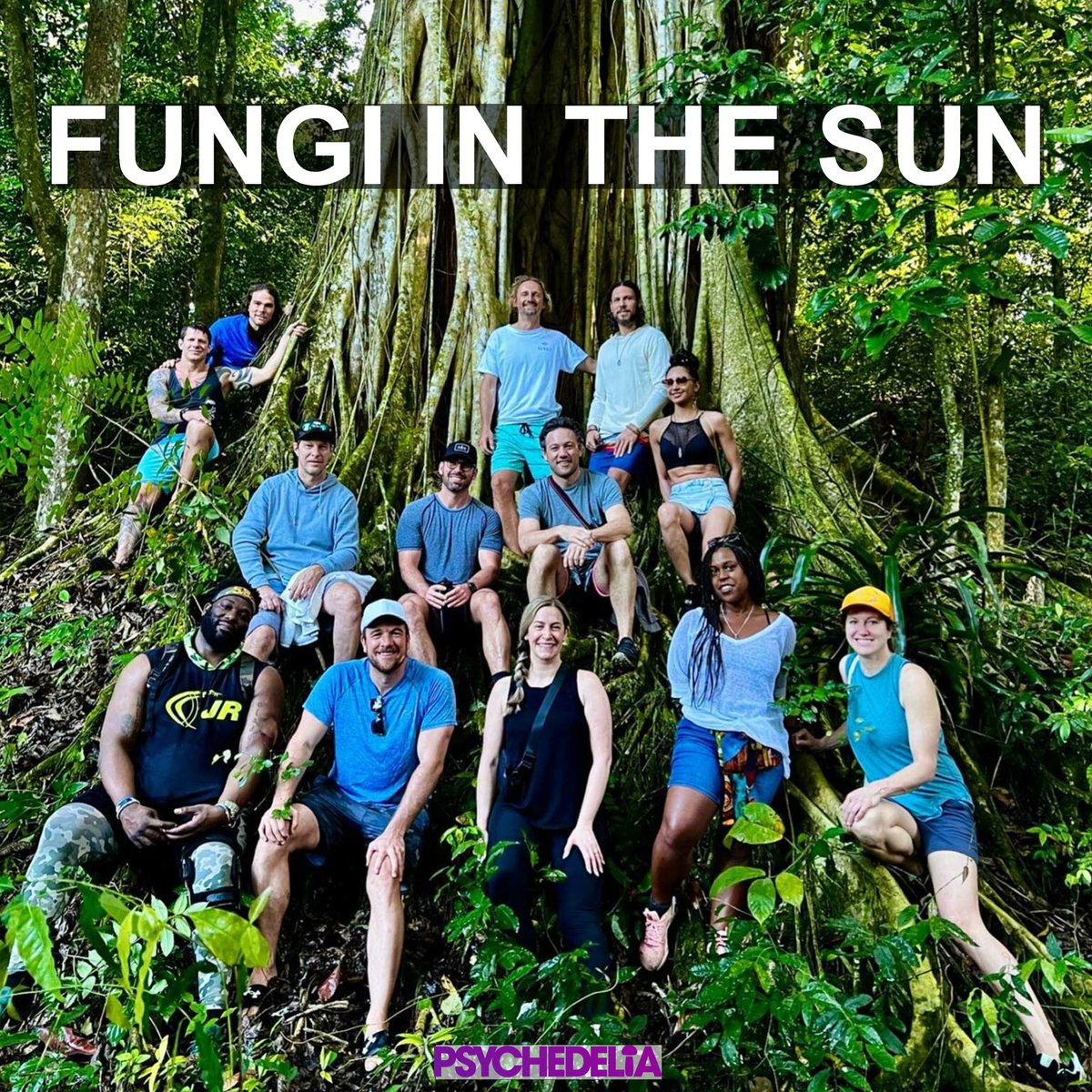 Psychedelia tweet media