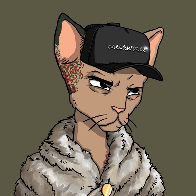 CryptoVonDoom's tweet image. Been wanting a @CetsOnCreck for a while. 
After hearing the story on @DaoKwonDo &amp;amp; @_ShaniceBest Spaces today about some holders dumping the floor after finding out the founder was Indian I decided today would be a great day to support the project and finally get in.