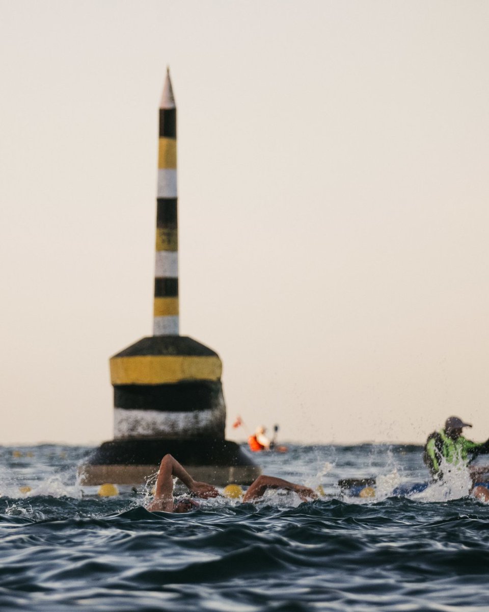 WestAustralia's tweet photo. @RottnestIsland is home to the @RottoSwim, the largest open-water swim in the world. @DestPERTH's island paradise 🏝️ will see the toughest swimmers take on the challenge from sunny Cottesloe Beach to glorious Longreach bay on 25 Feb. #WAtheDreamState
https://t.co/AG0H7JzzTg https://t.co/MXKpHrIf4h