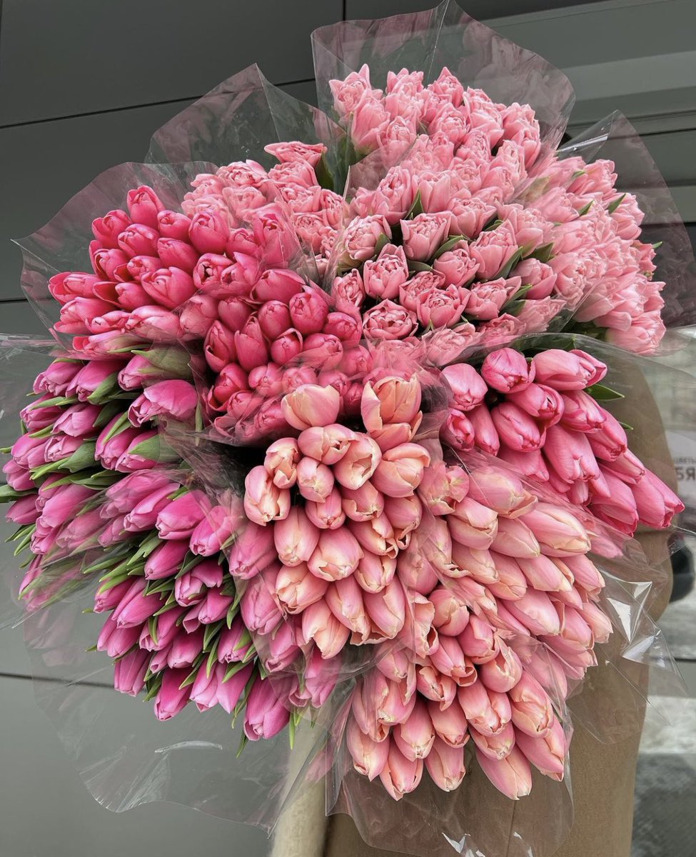 bestofpinkk's tweet photo. pink tulips https://t.co/X4uqhsjTga