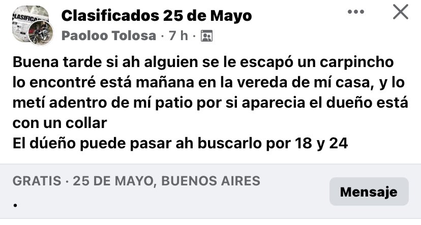 enigma2674's tweet photo. Este tipo de posteos son los q nos definen como pueblo bien de campo 😂😂😂… q mi se me metió una tortuga a la cocina… todavía no se de quien es 😂🤦‍♀️ https://t.co/BRs9XAFeKZ