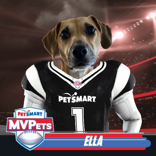 jesalop's tweet photo. #MVPet
#AnythingForPets
@petsmart https://t.co/NBfzsbKN9P