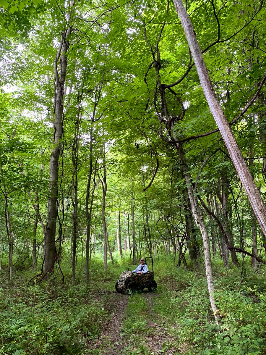 TerrainHopperUS's tweet photo. #Nature #Outdoors #Fun #allterrainwheelchair #offroadwheelchair #adaptiveadventures #adaptiveequipment #adaptiverecreation #adaptivehiking #adaptivecamping #wheelchairlife #wheelchairhiking #beachwheelchair #customwheelchair #disability #disabilityawareness https://t.co/szx6RQJ1in