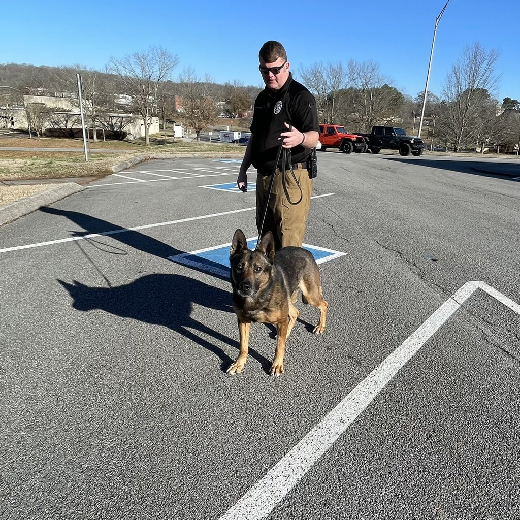 Oak Ridge Police on Twitter "Today at the PD our K9 team got to do
