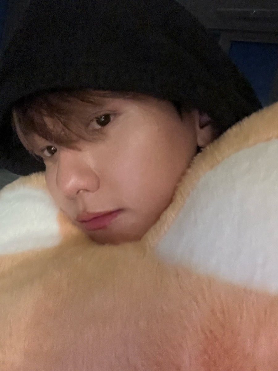 ex9thoughts's tweet photo. 🐶💭

-‘good morning’ https://t.co/eHFgG4n95w