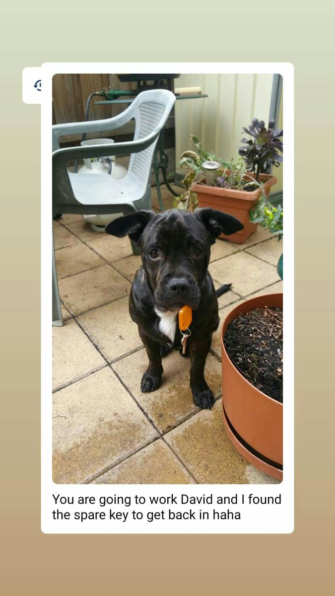 Some time ago, but still laughing 😂 checky Bax