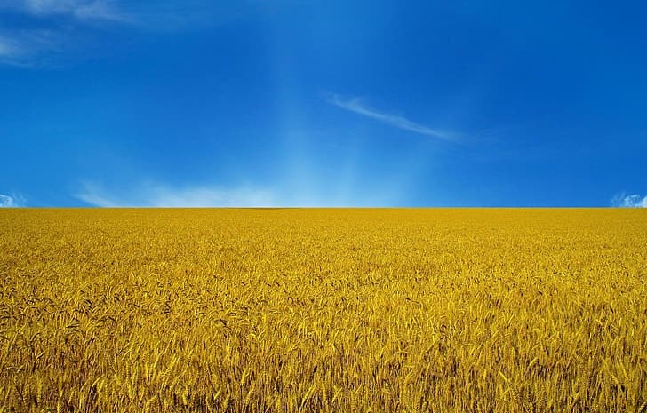 _dre_sh's tweet photo. @ukrainesnft or the obvious option: https://t.co/eT2lNAQVQq