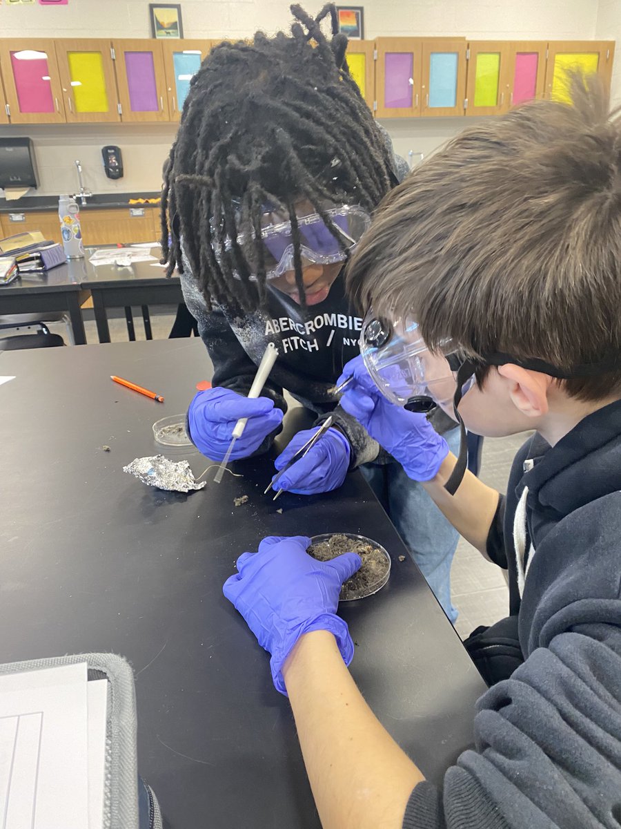 MrsGrenter's tweet photo. Thanks to the Science in Motion program at @EtownCollege, #7Thunder investigated the ecological role of owls today by dissecting owl pellets! https://t.co/NW5uF60fsh