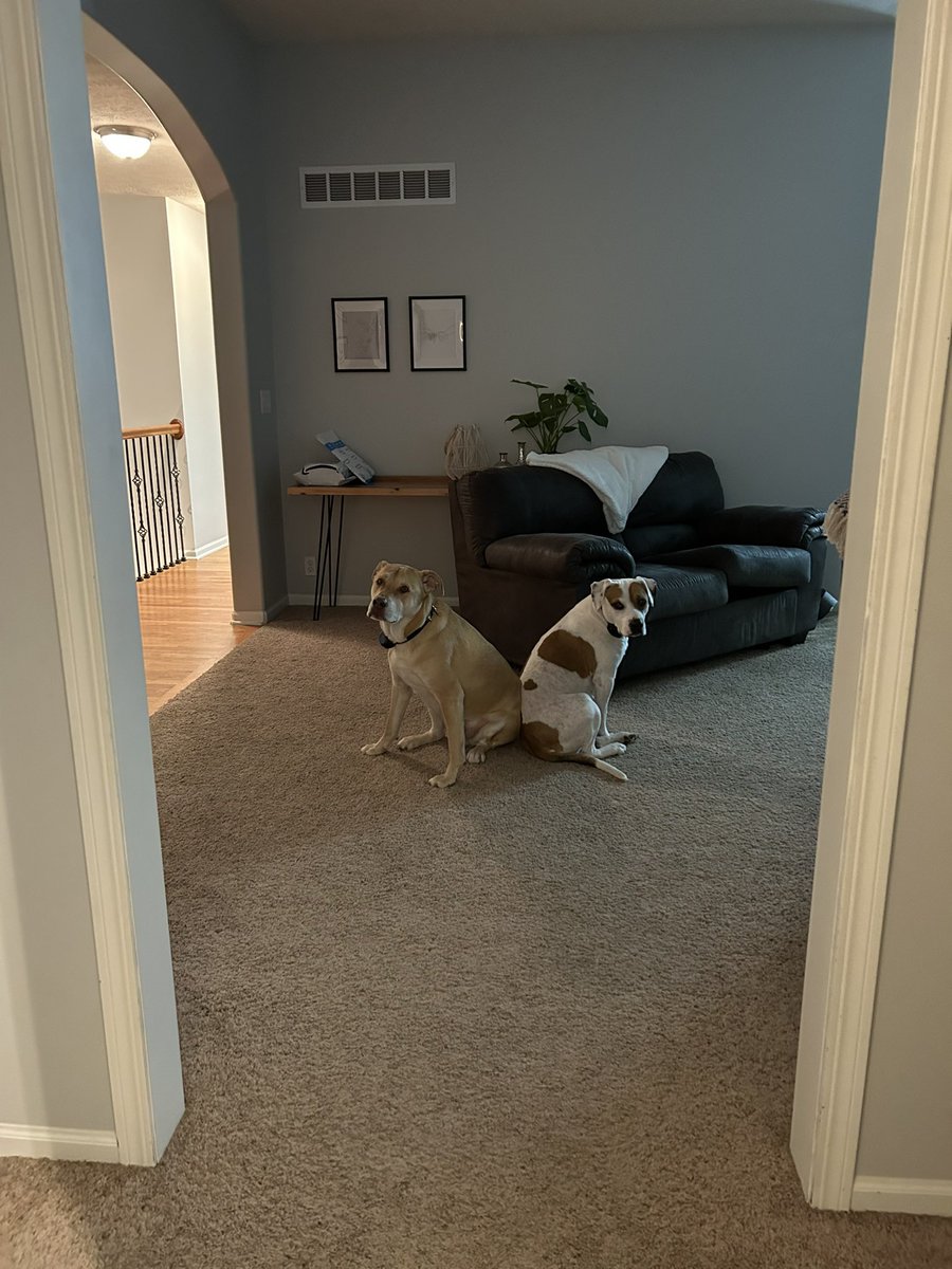 Waiting for me to get out of the bathroom like
