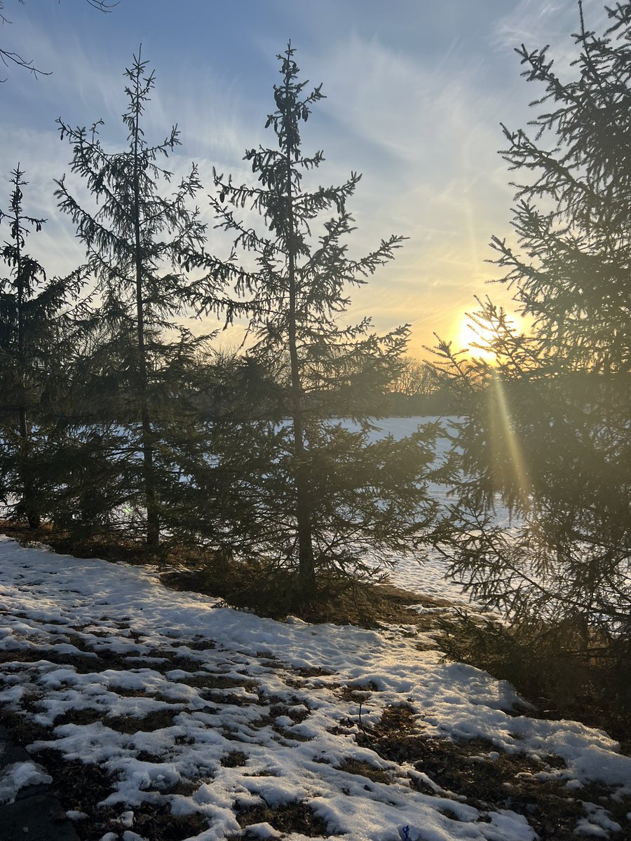 Tina Kanter tweet media