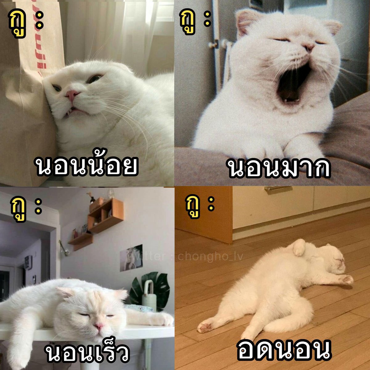 สภาพกูในแต่ละวัน :