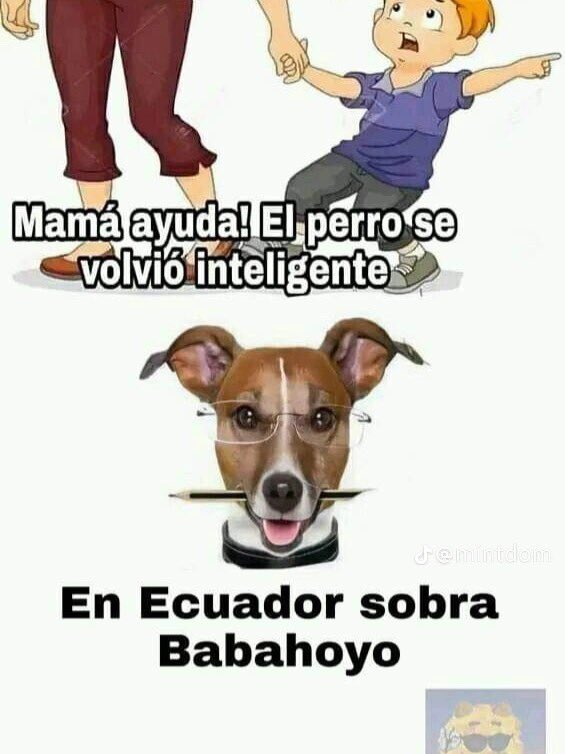 🇪🇨🐊 tweet media