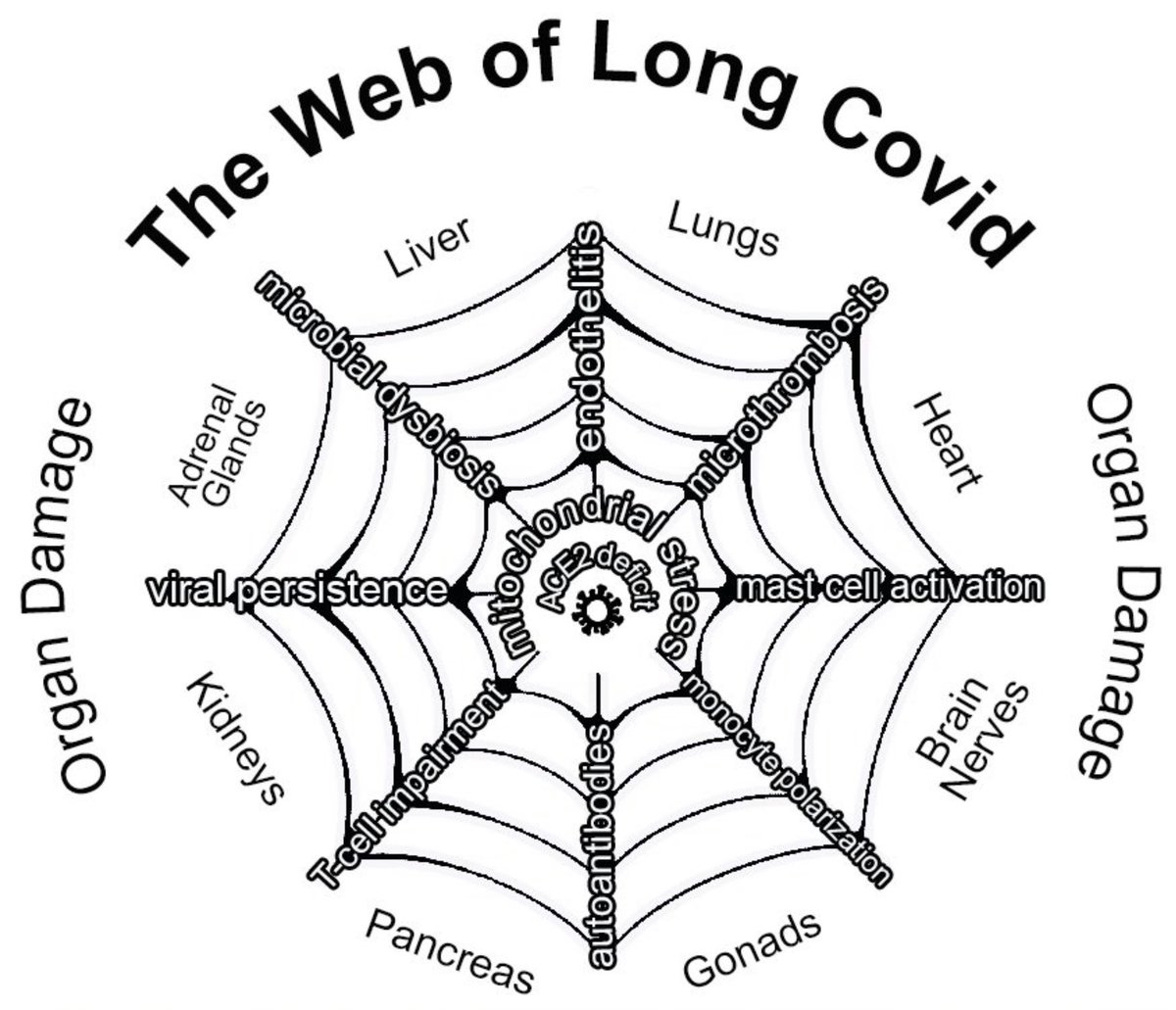 TonyN47243342's tweet image. This might help…
LONG COVID: PREVENTION & TREATMENT
Jan 2023 drgalland.com/wp-content/upl…
Leo Galland MD is the doctor’s doctor on applying integrated medicine to treat complex chronic disorders. Advice may change with new science & clinical discoveries
24-7pressrelease.com/press-release/…
2/