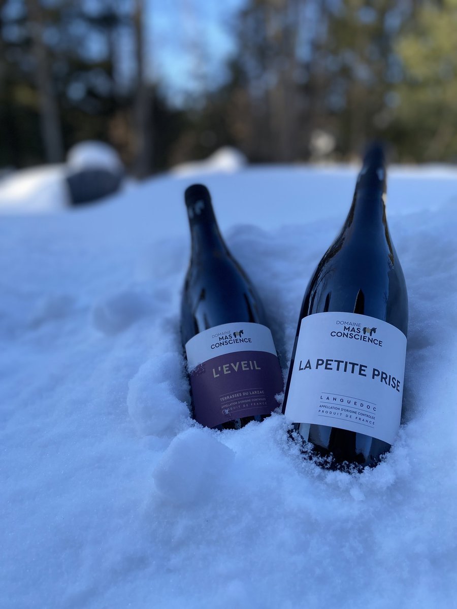 Le soleil des Terrasses du Larzac au #Quebec 🍇
<a href="/VinsduLanguedoc/">Vins du Languedoc</a> <a href="/AOCTerrLarzac/">AOP Terrasses du Larzac</a> <a href="/LaSAQ_officiel/">lasaq_officiel</a> <a href="/toutsurlevin/">Tout sur le Vin 🍷</a>