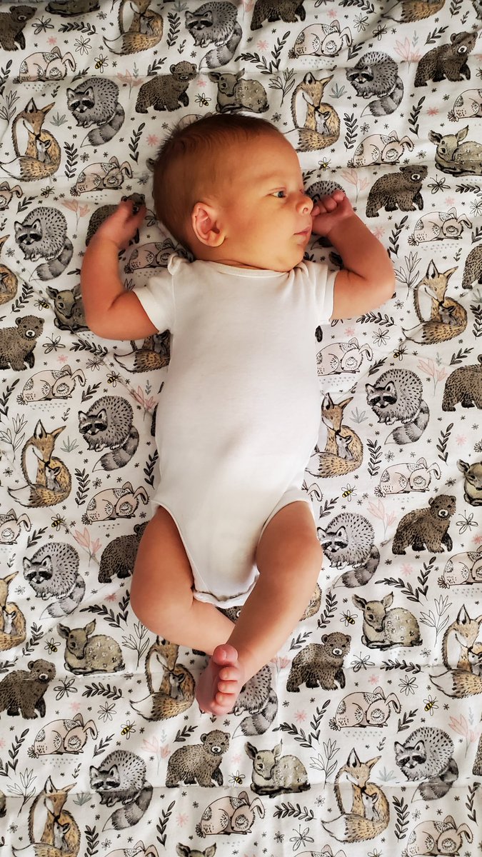 NolaNikole's tweet photo. A one-derful first month of loving you #firstmonth #onemonthold #grandadventure https://t.co/JcVWYvH8NK