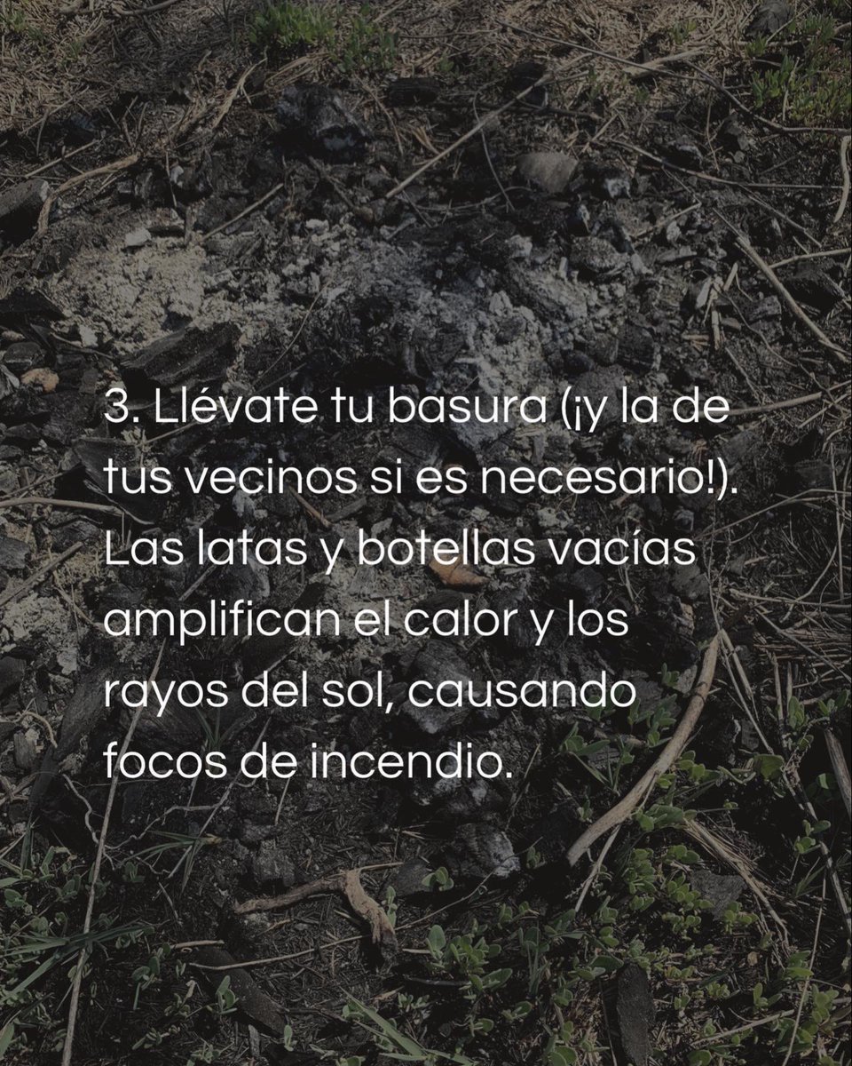 Algunos consejos para evitar más incendios forestales. La prevención parte por ti!
