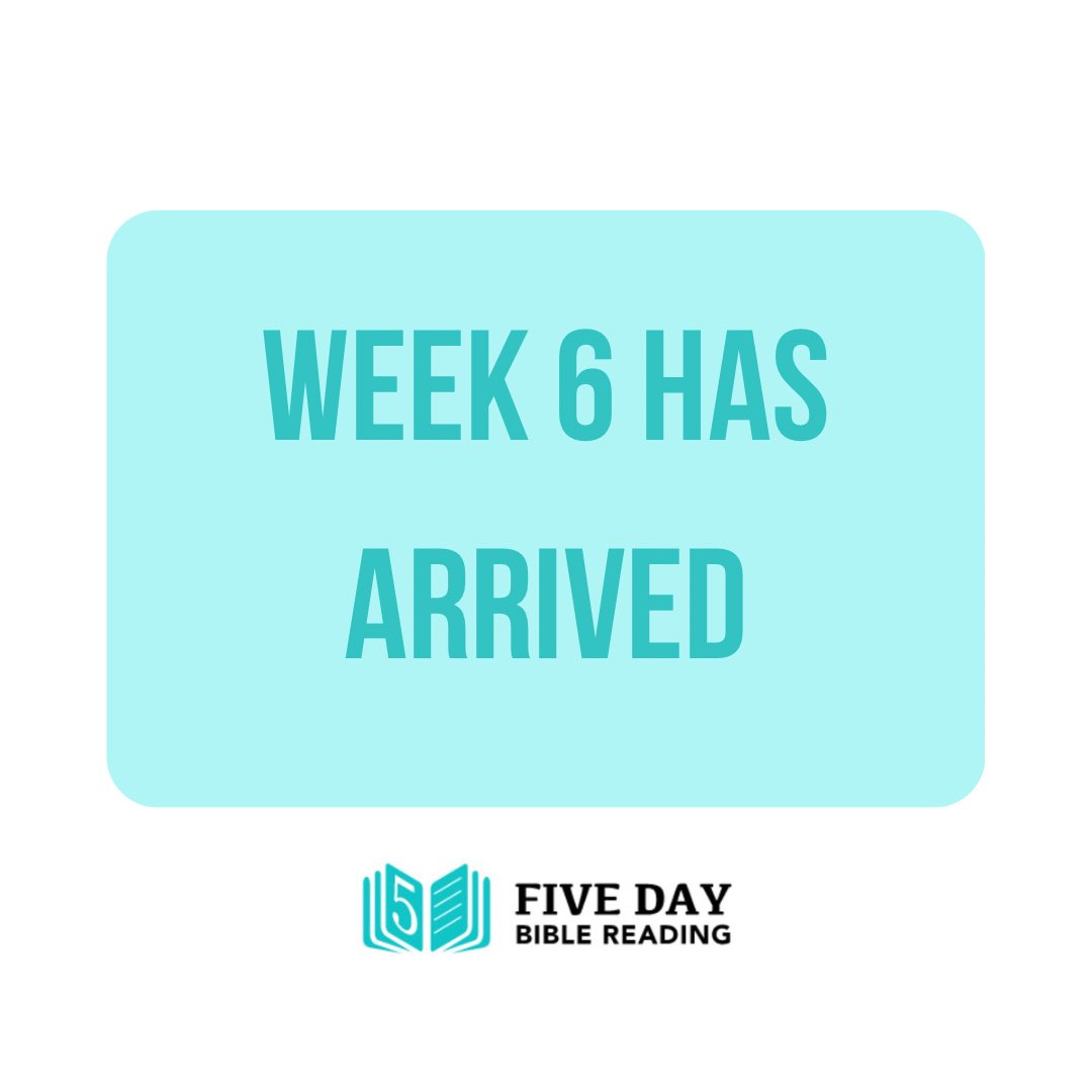How’s it going? #5daybiblereadingplan #biblereading #dailybiblereading #bible #biblejournaling #bibleverse #dailybible #dailybiblestudy