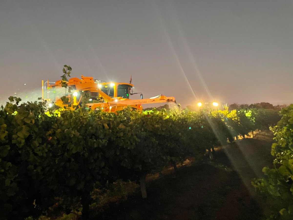 Lehmo75's tweet photo. Vintage has kicked off @ Loxton North for 2023 https://t.co/aWUMfXlq7I
