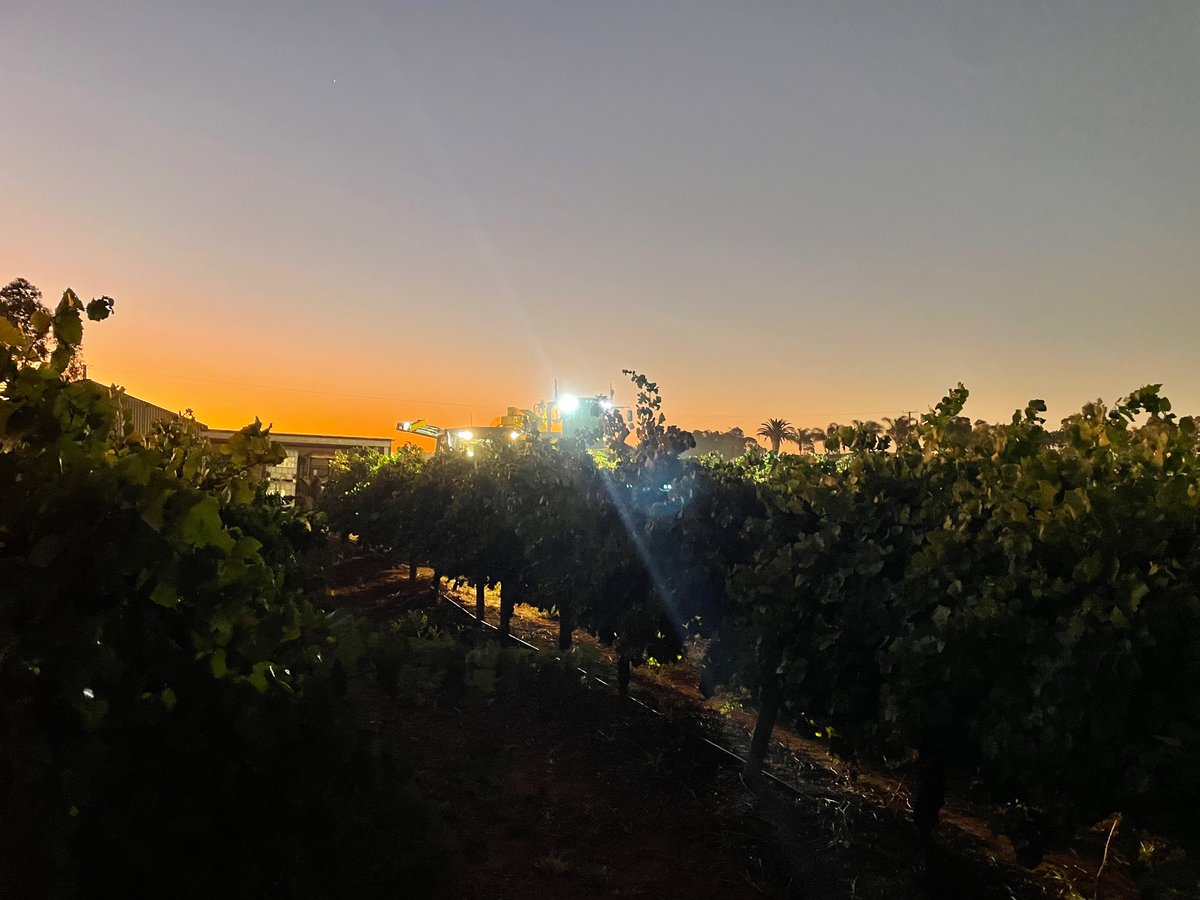 Lehmo75's tweet photo. Vintage has kicked off @ Loxton North for 2023 https://t.co/aWUMfXlq7I