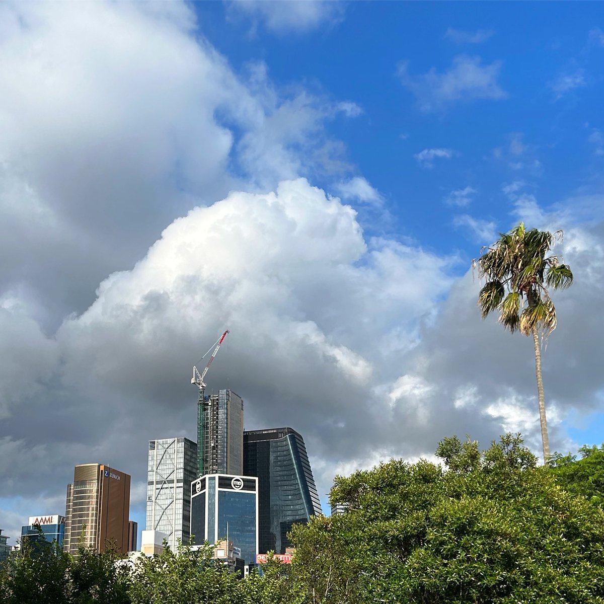 Good morning, North Sydney.