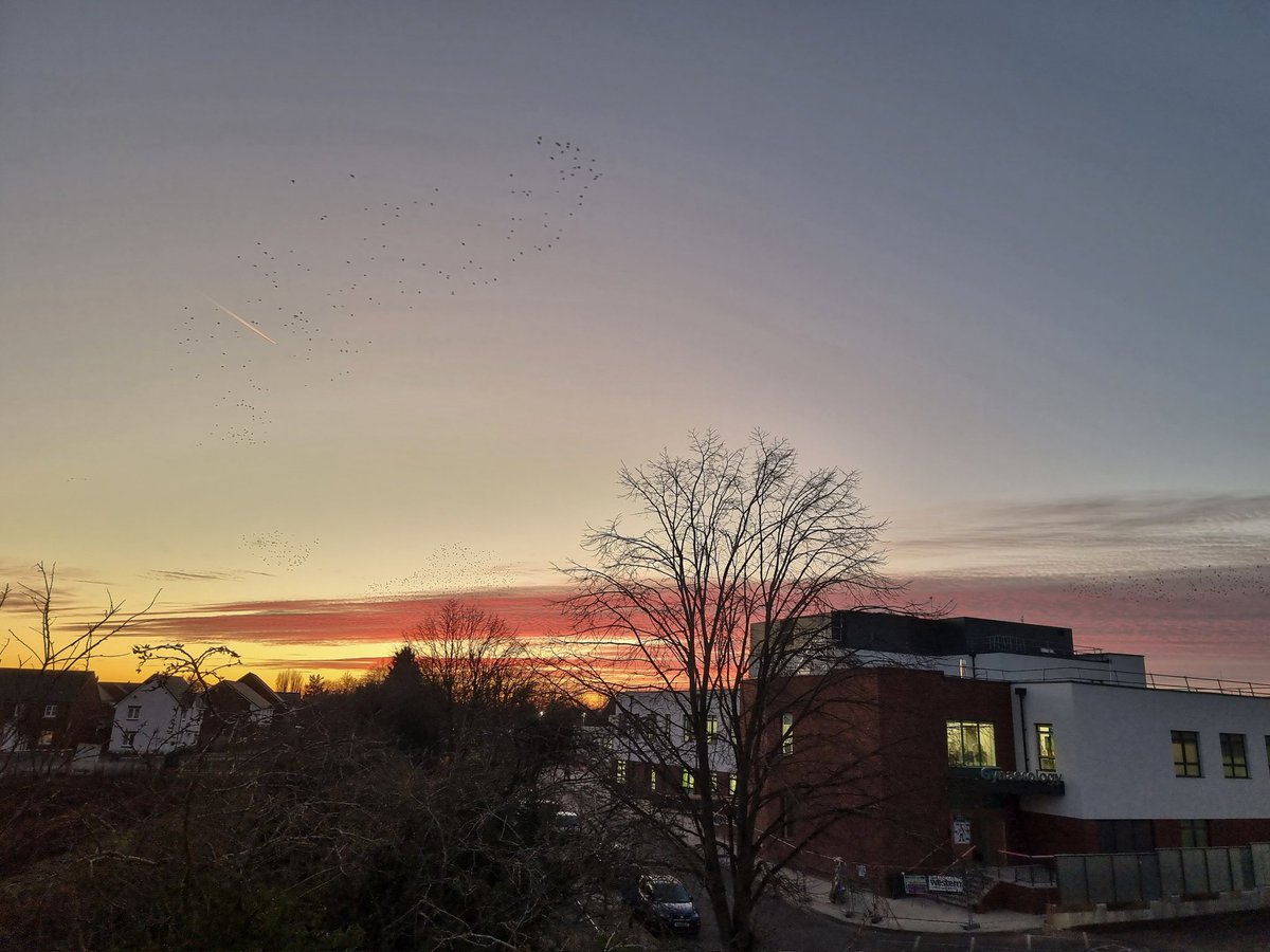 Monday's sunrise, moonset and sunset 🌄🌕🌅

#StormHour #Buckinghamshire #StokeMandevilleHospital #Aylesbury