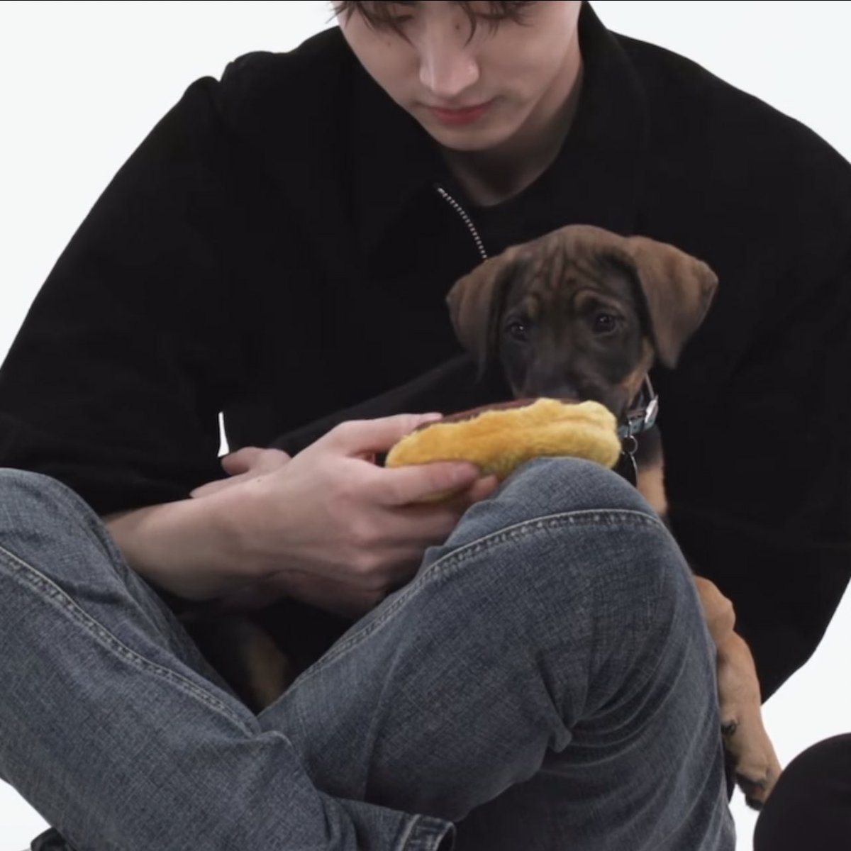 prodshn's tweet photo. sunghoon holding the puppy 😞 https://t.co/2ytBE0NYqC