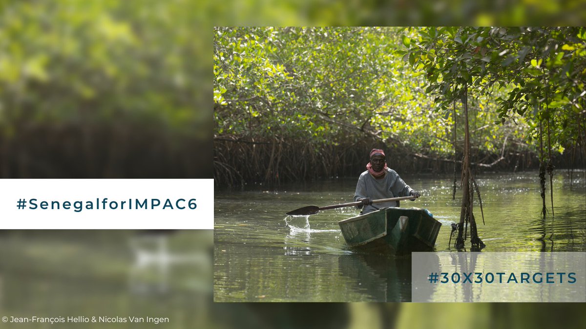MedPAN's tweet photo. As pre-finalists, 🇸🇳 Senegal and Africa are ready to host the next #IMPAC Congress! Let’s support them! #SenegalforIMPAC6 #IMPAC5 @IMPAC5Canada #30x30targets @euog4mpas
@rampaonetwork
@redparques 
@wiompan
@EBCD_bxl 
@SylviaEarle 
@ConservationOrg
@WWF https://t.co/y1VHg6lJ2R